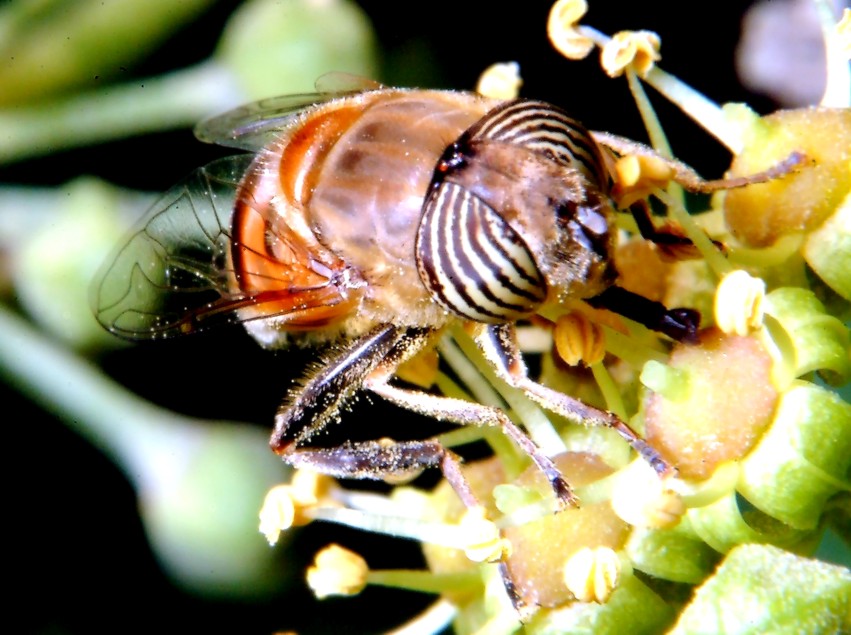 Immagini prima dell''intervallo